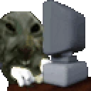 xddWHAT emote