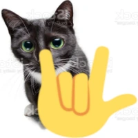rockoncat emote