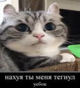 prichinatega static emote