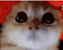 RAGEY emote