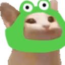pauseCat emote