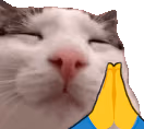 plinkPrayge emote
