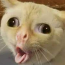 CatSneeze static emote