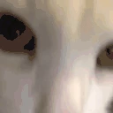 yes emote