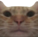 stare emote