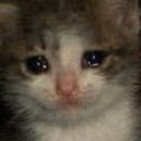 smolcat emote