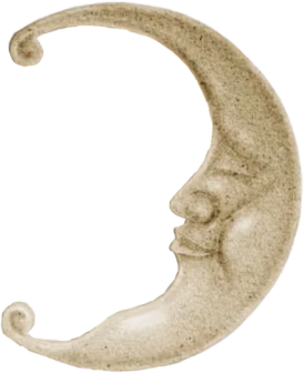 fairy_moon emote