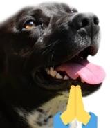 BrewDogDorime emote
