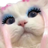 sasCat emote