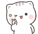 catWink emote