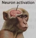 Chimp emote