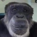 George emote