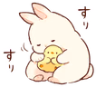 duck_bunny emote