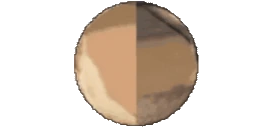 FloppaPlanet emoji
