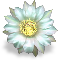 flower_mint emote
