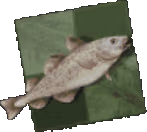 Stockfish_emote_chess emote