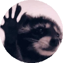 raccoonJam emote