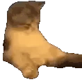 kok emote