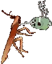 roachTeaTime emote