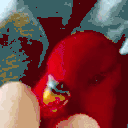 birdCheck animated emote