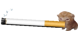 cigarettebert emote