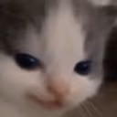 CE_Smug2 emote