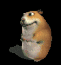 Hampter animated emote