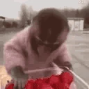 MonkeyEatingStrawberries emote