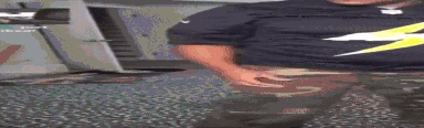 FanumTax emote