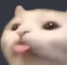 cattongue emote
