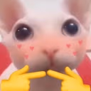 BingusShy emote