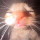ermM emote