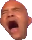 BitconnectGuy_BITCONNEEEECT emote