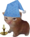 RobertHonkShoo emote