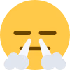 DefinetlyNotAmused emote