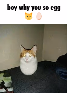 eggcat emote