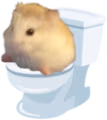 Shits emote