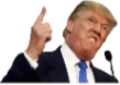 Trump emote