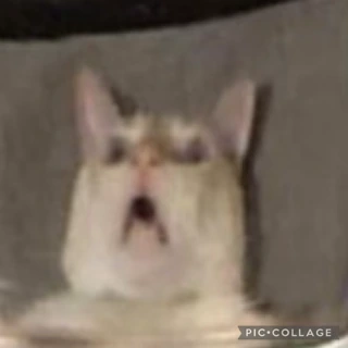 AHHHHH emote