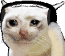 sadCatJam