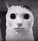hhh emote