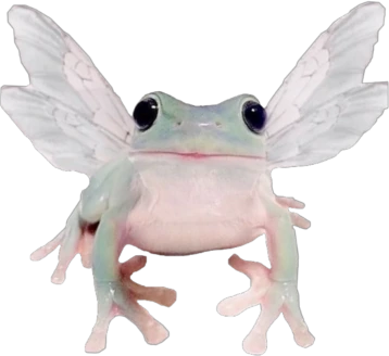 fairy_frog emote