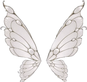 wet_butterfly emote