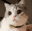 smooch emote