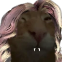 dracubuh emote