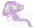 purple_jellyfish emote