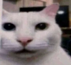 Eh emote
