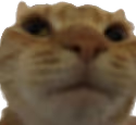 what emote