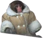 IKEA_Monkey emote