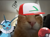 buhemon emote